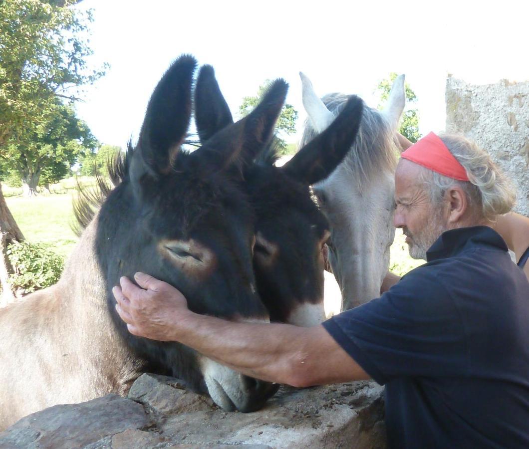 La Ferme De Pomereix Le Dorat Bagian luar foto